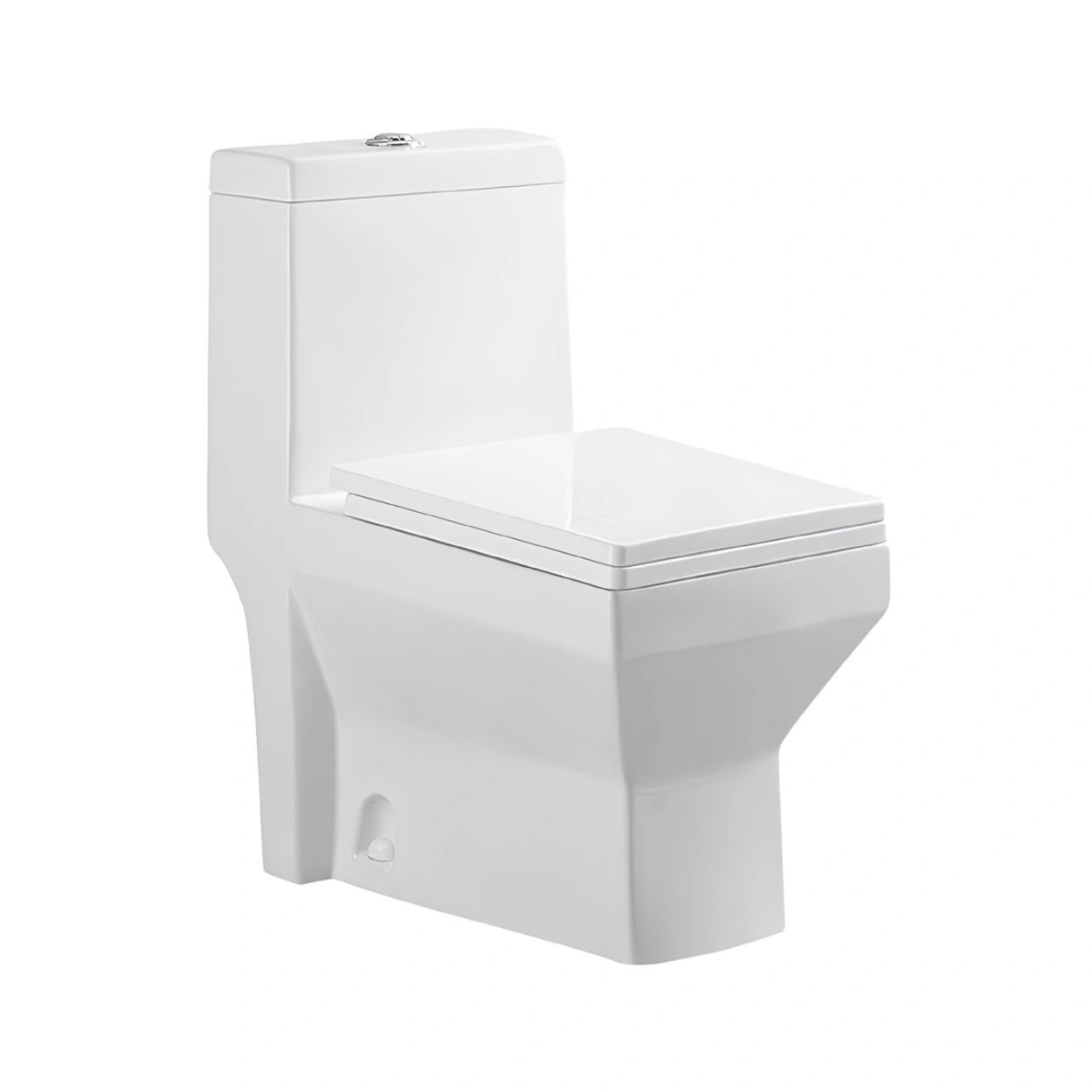 FBT Washdown One-piece Closet 6184